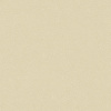 ASPECT_21